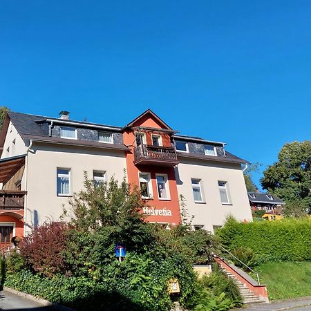 Villa Helvetia Bad Elster Exterior foto