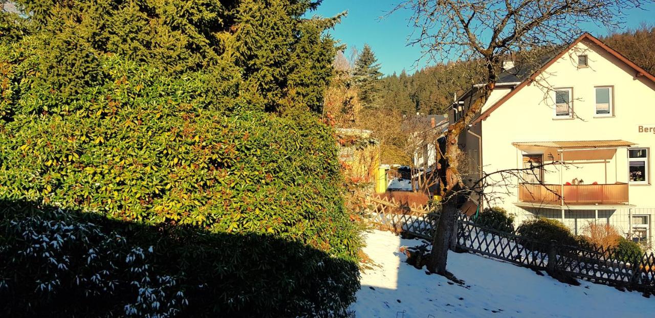 Villa Helvetia Bad Elster Exterior foto
