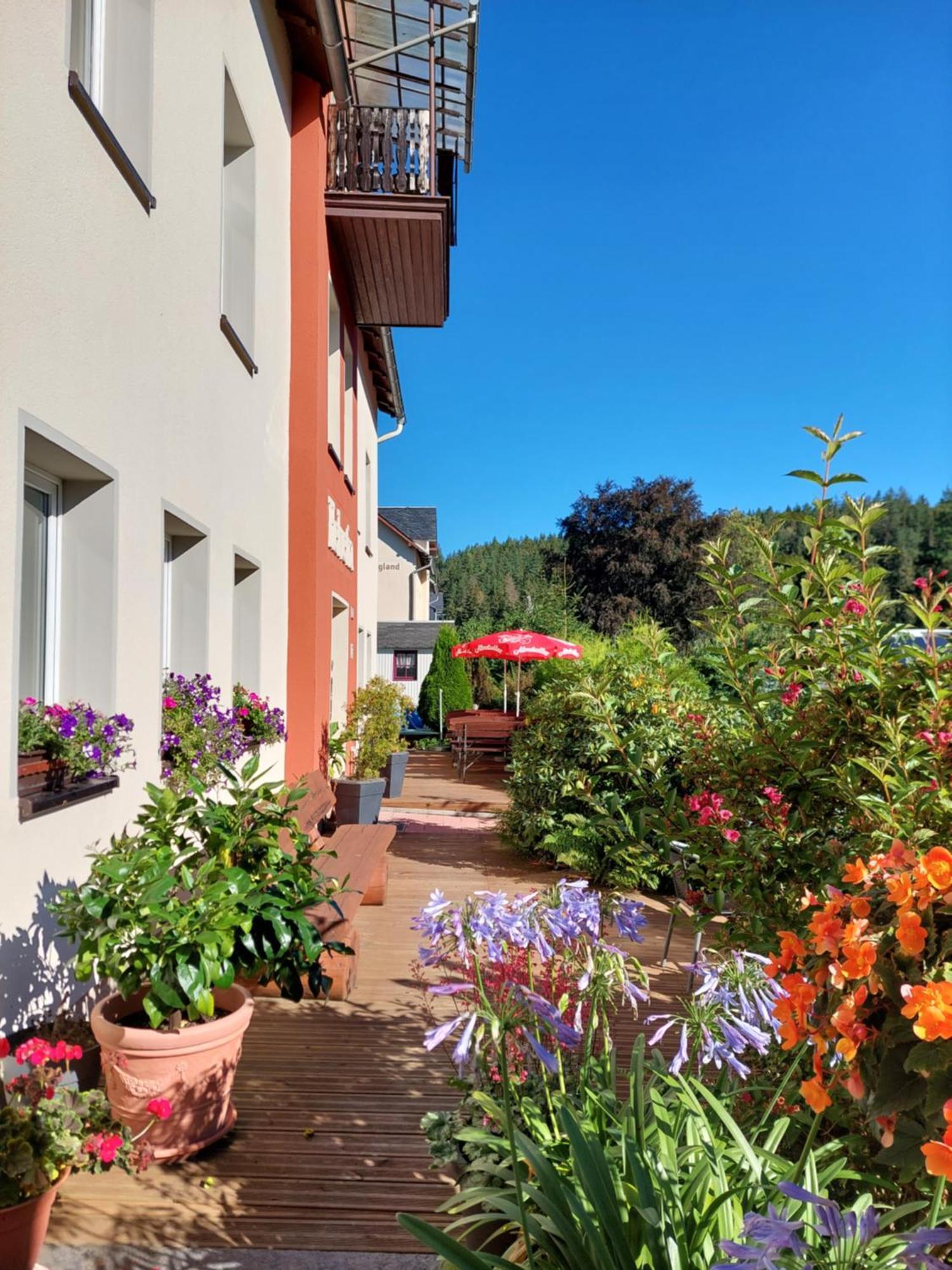 Villa Helvetia Bad Elster Exterior foto