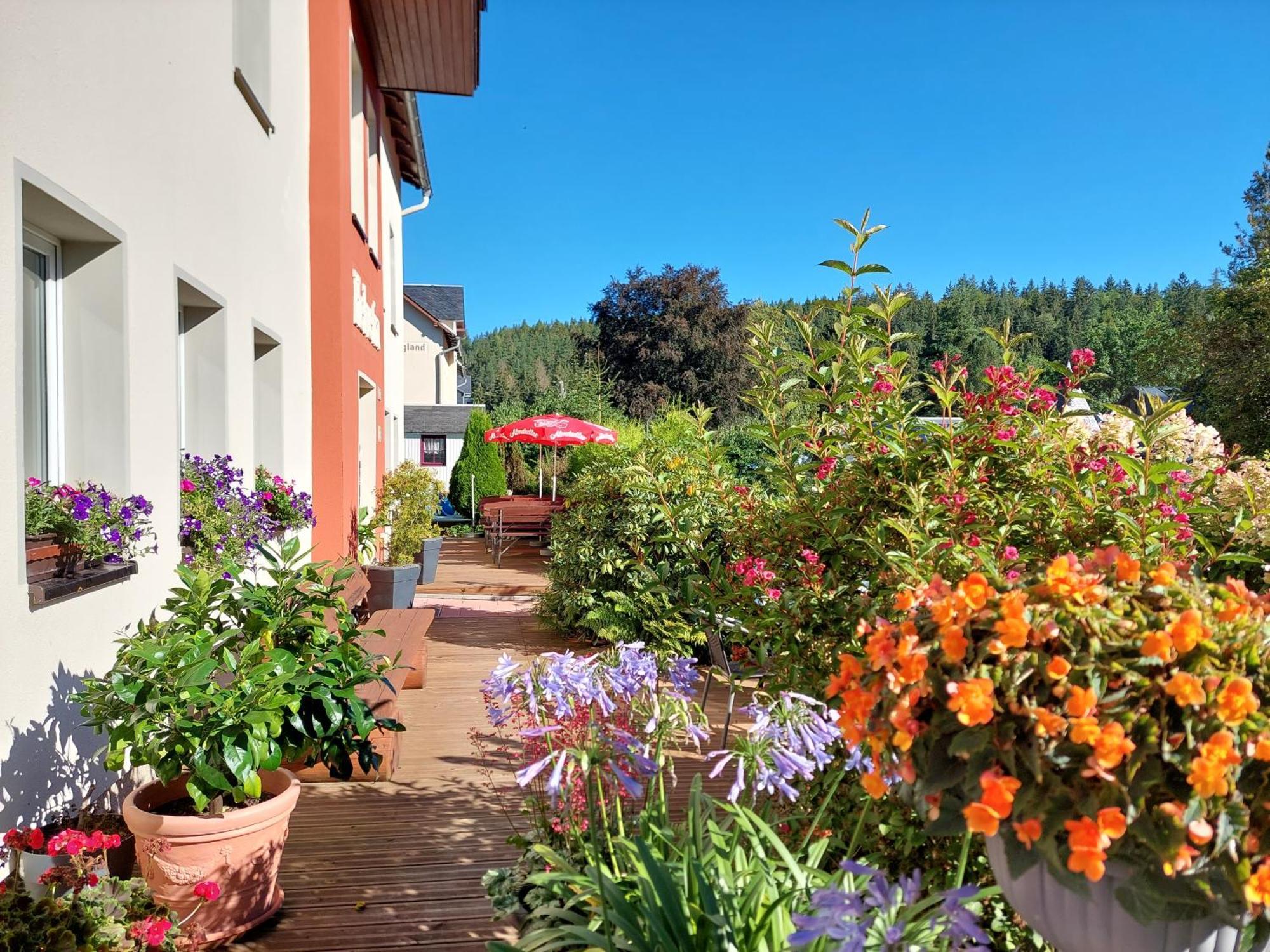 Villa Helvetia Bad Elster Exterior foto