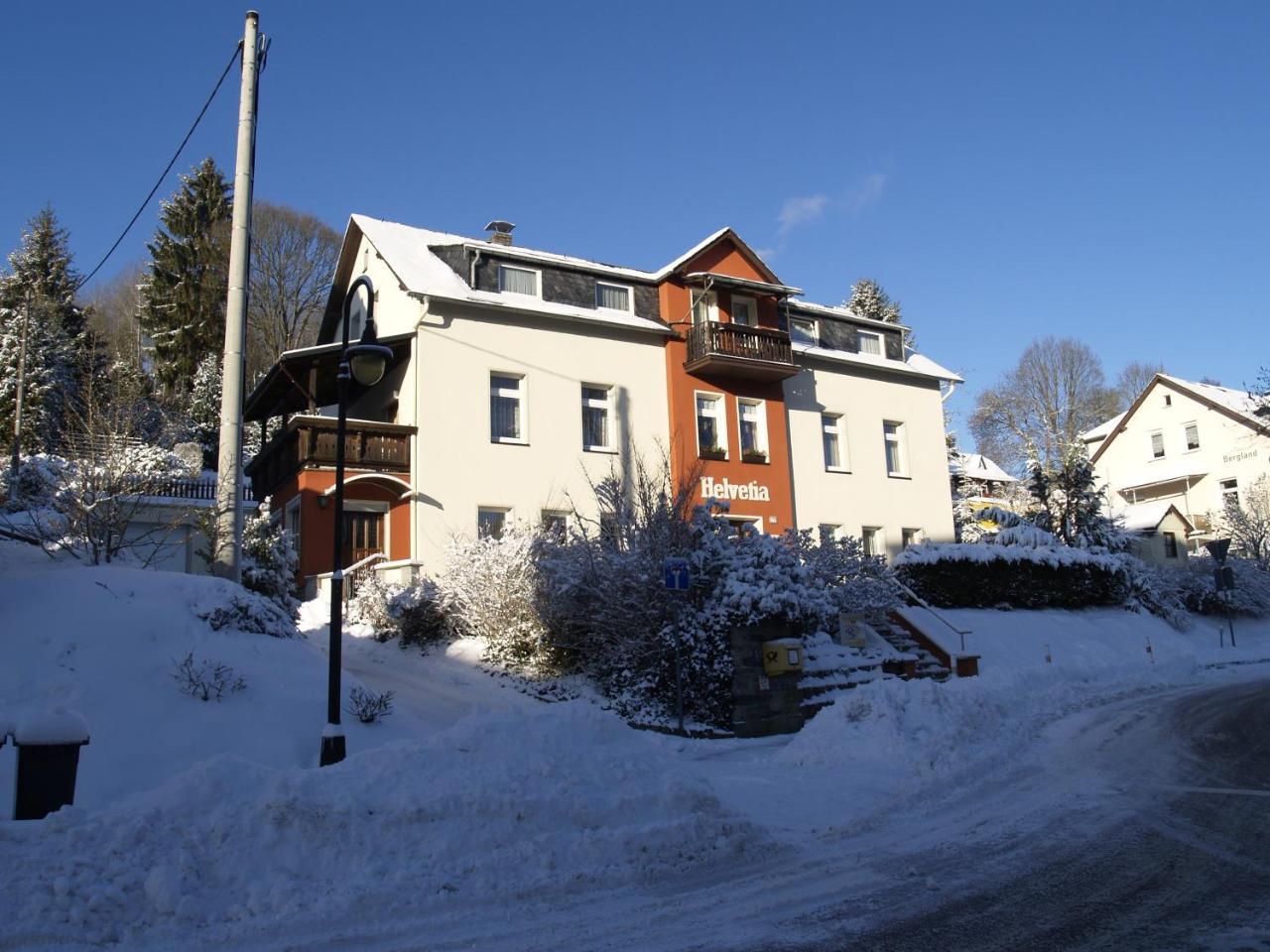 Villa Helvetia Bad Elster Exterior foto
